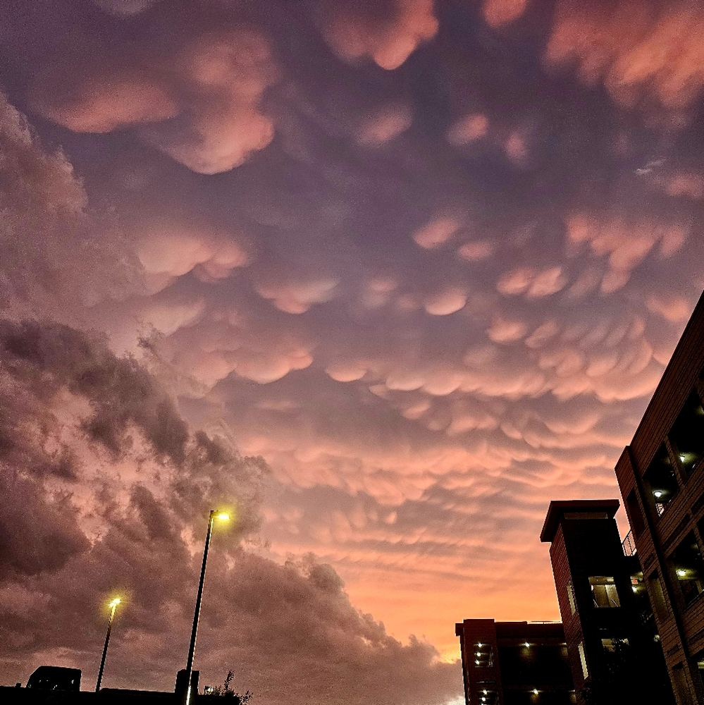 Meet your Posher, Greg